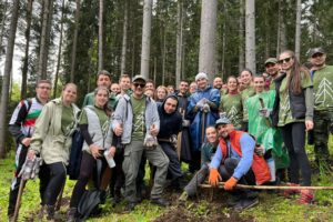Accedia Forest volunteers gathered to plant 240 trees