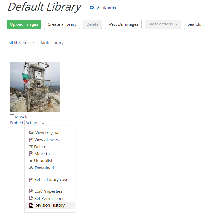 sitefinity default library